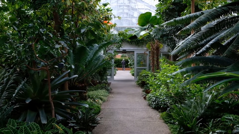 A pathway leads through lush greenery at Matthaei Botanical Gardens in Ann Arbor